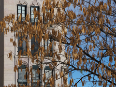 Cliquez sur la vignette pour l'agrandir